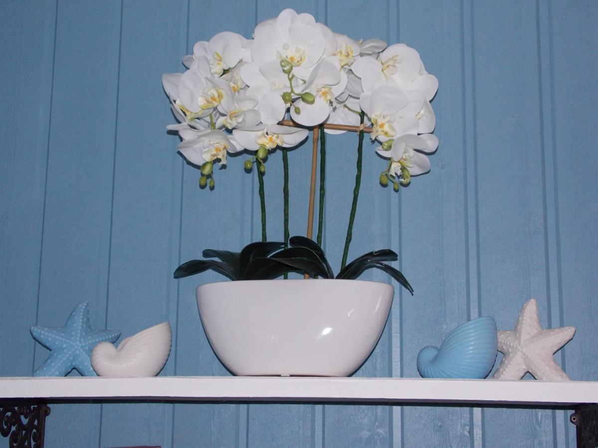 Chambre De La Nonne En Vacances Dol-de-Bretagne Bagian luar foto